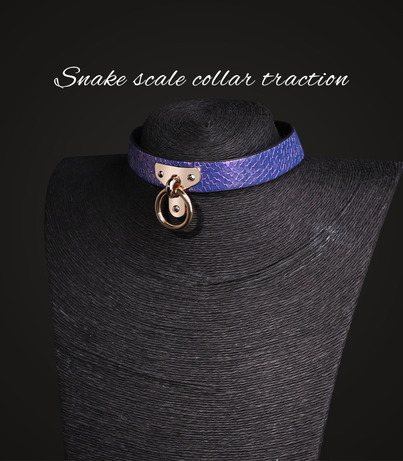 Amethyst Serpent Luxury Traction Collar - Image 3