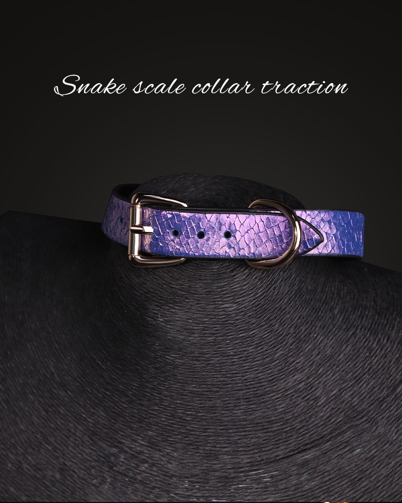 Amethyst Serpent Luxury Traction Collar - Image 4