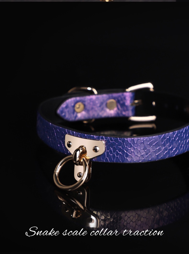 Amethyst Serpent Luxury Traction Collar - Image 6