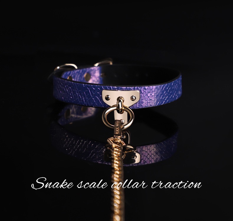 Amethyst Serpent Luxury Traction Collar - Image 7