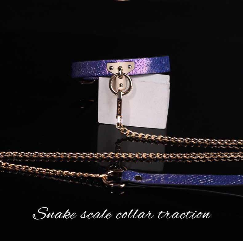 Amethyst Serpent Luxury Traction Collar - Image 8