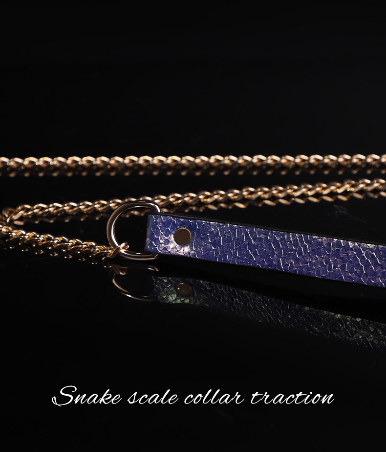 Amethyst Serpent Luxury Traction Collar - Image 9