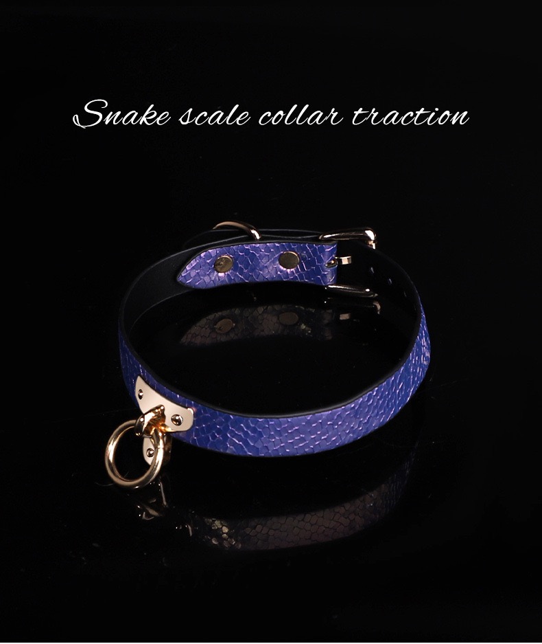 Amethyst Serpent Luxury Traction Collar - Image 10